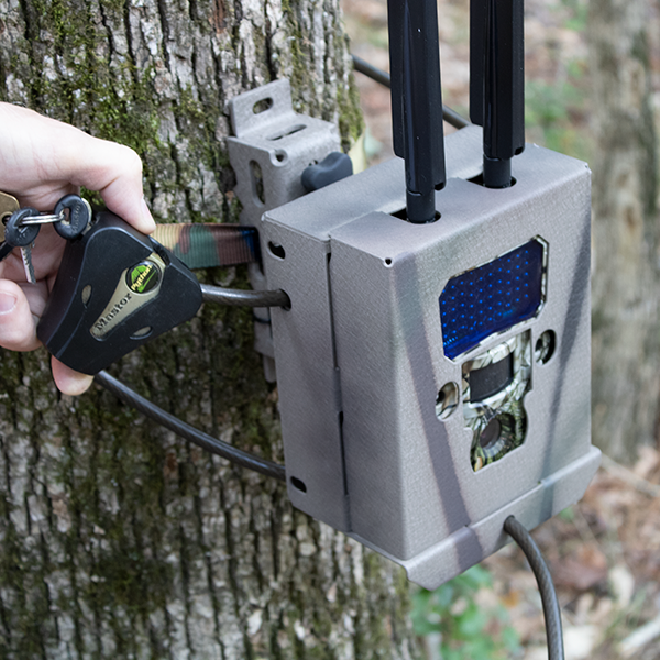 Python Cable Lock Camo